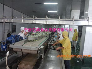 億鴻食品機(jī)械 以卓越品質(zhì)與智能技術(shù)，引領(lǐng)魚罐頭瀝水機(jī)新標(biāo)準(zhǔn)